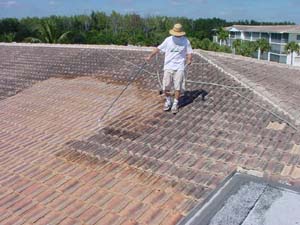 Chemical Roof Cleaning pic