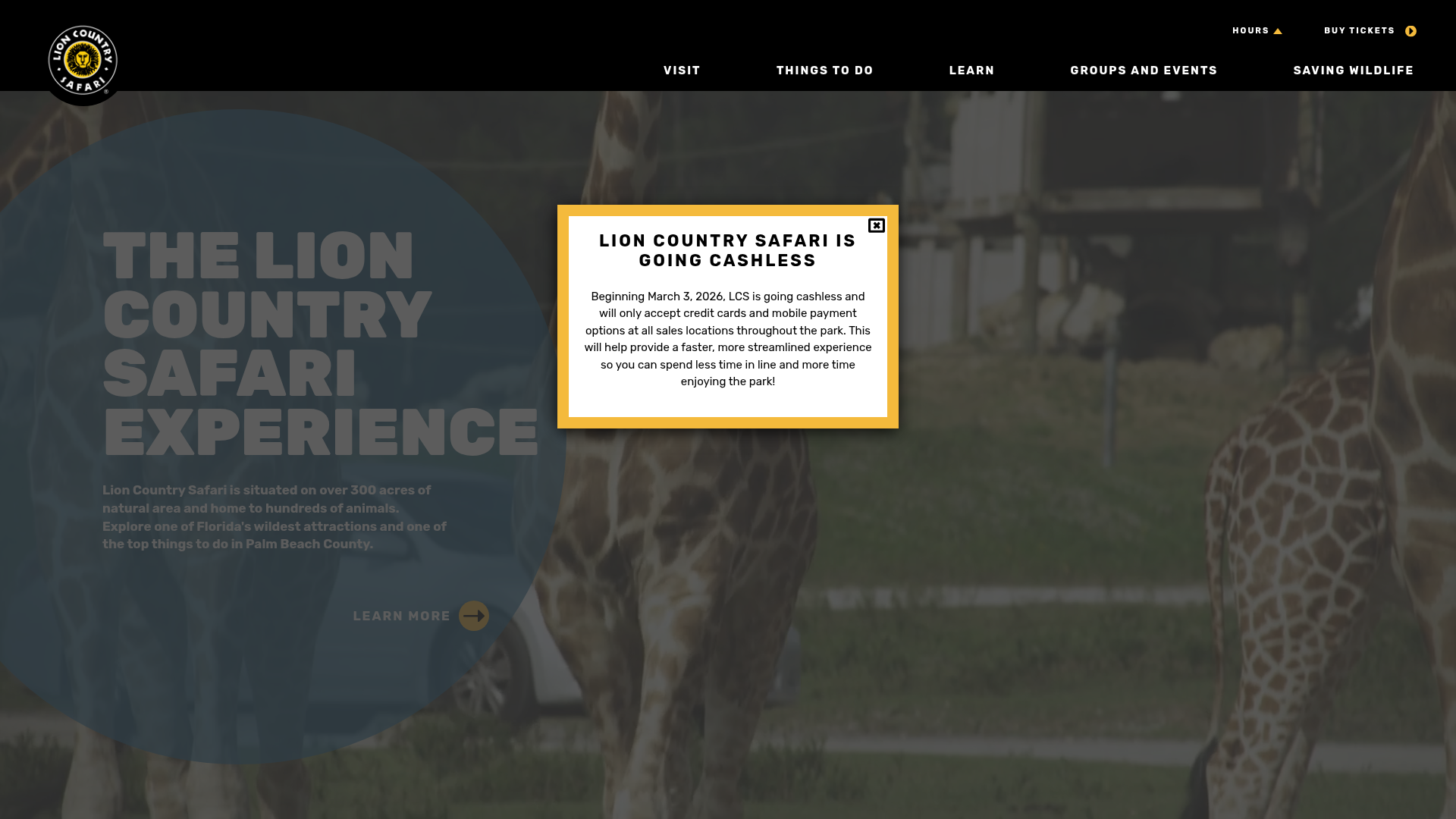 Lion Country Safari