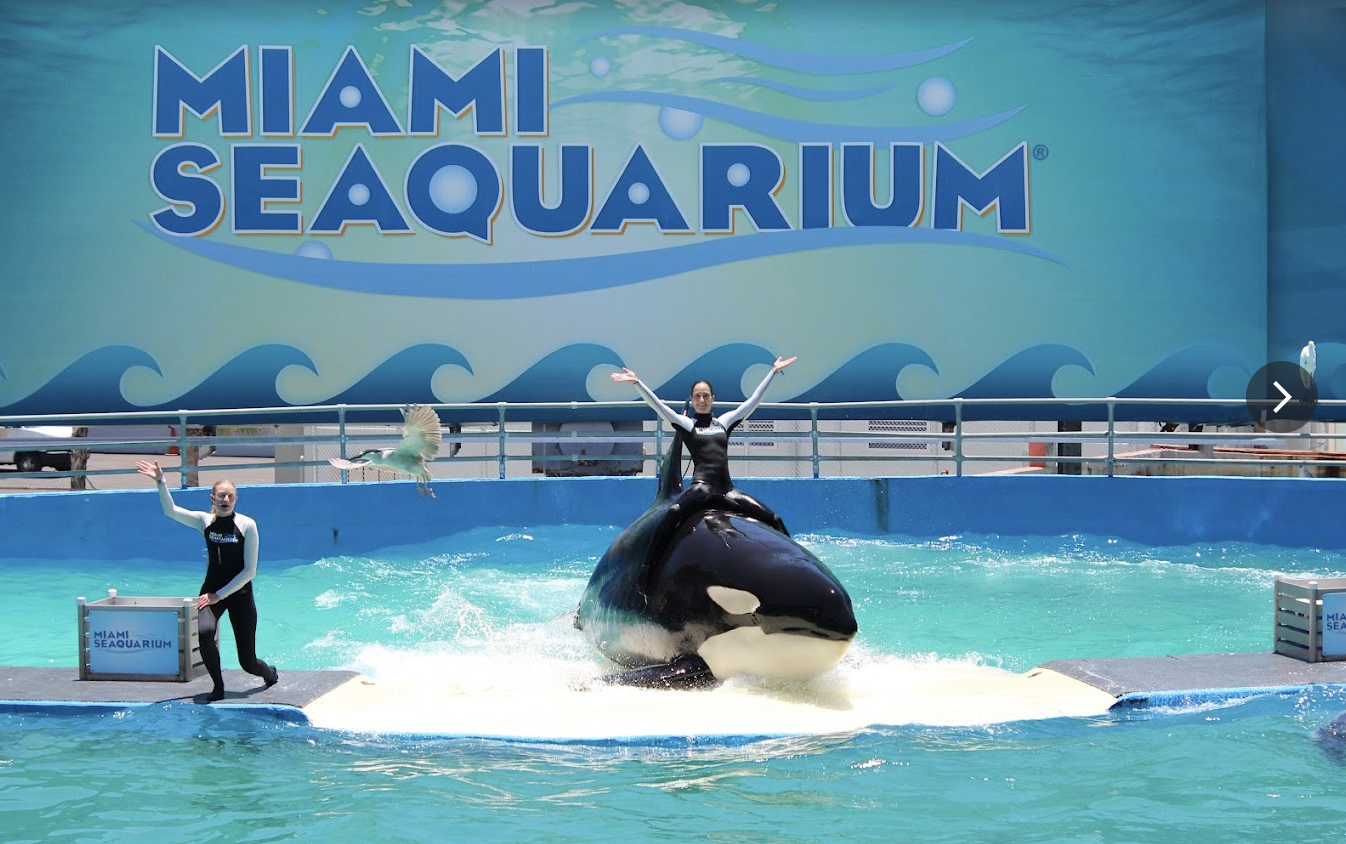 Miami Seaquarium