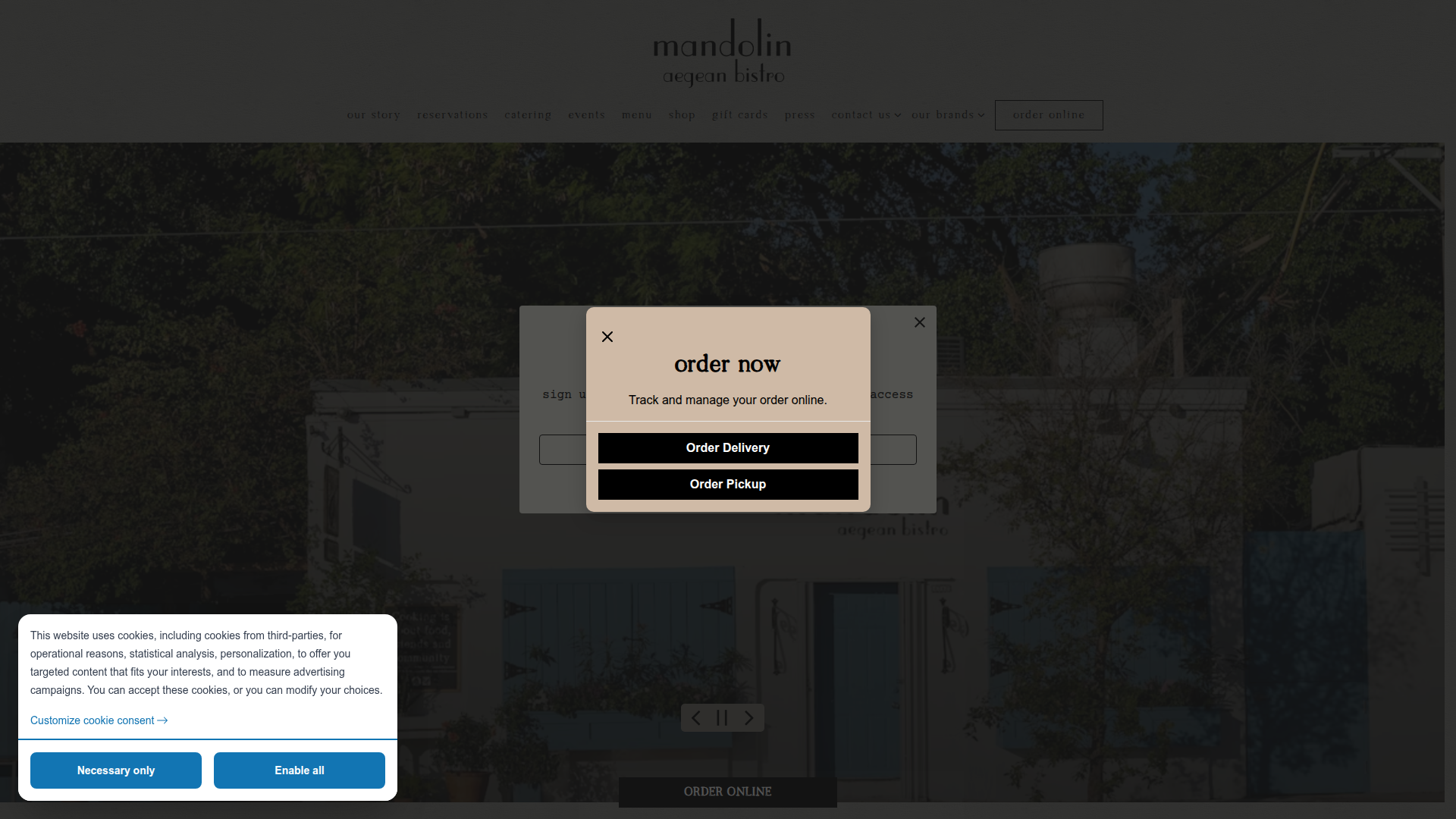 Mandolin Aegean Bistro
